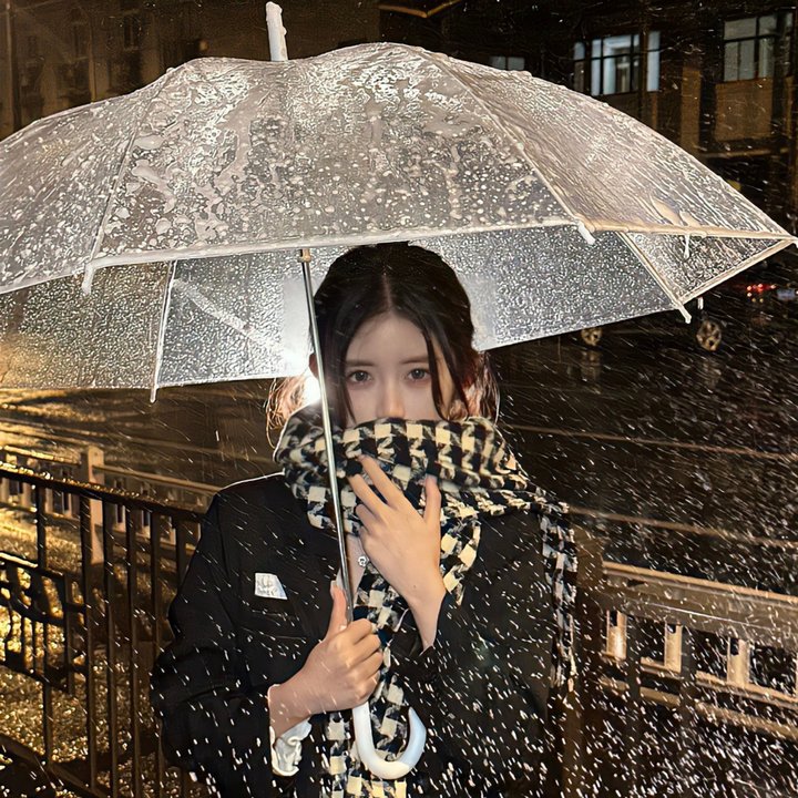 监察局长